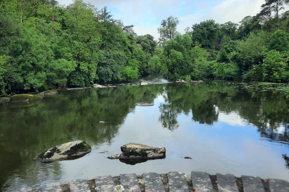 4a38f7d3-e56f-42d6-b9e9-acbb02d43b47