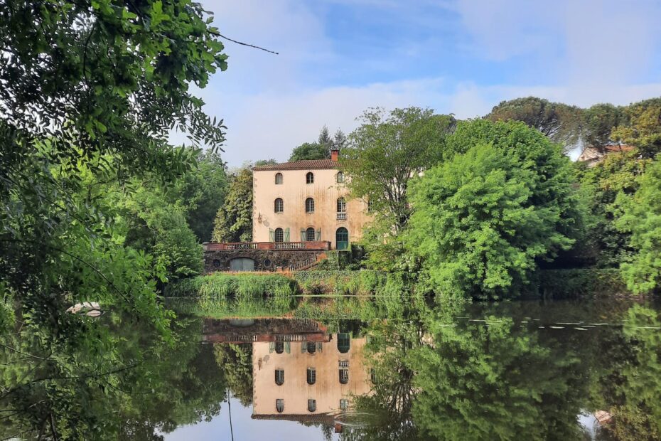 69a69f17-3c75-4ee6-81f7-b6a2ad6f51e9