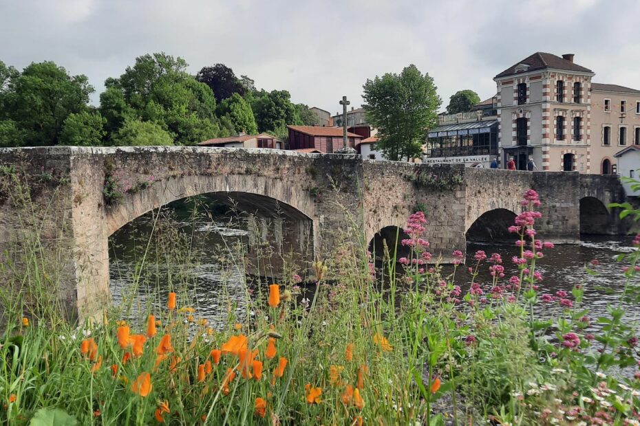 6b1f0725-9b1d-4861-8b8b-5c8dbbe5b160