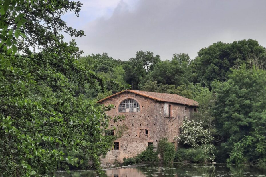 a6e3d1c1-bf97-4644-8672-e7e790f66903