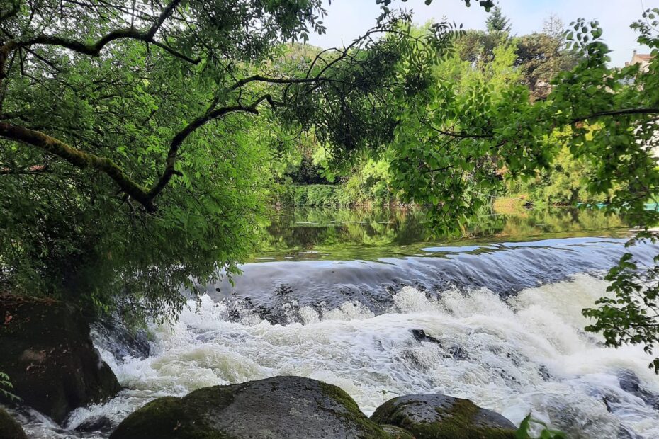 ef35a176-c71e-408b-b0ce-66507fb9a688